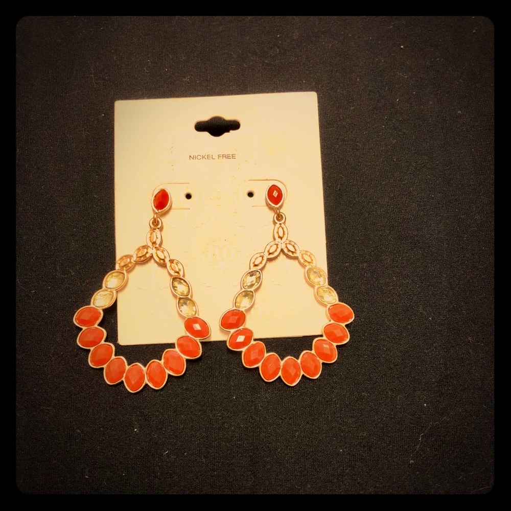 Brand New Beautiful Statement Earrings